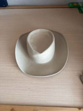 Urban Outfitters Rose Embroidered Wool Cowboy Hat, Size M